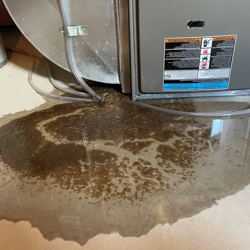 Pipe Burst and Leak Restoration in Jefferson, OR