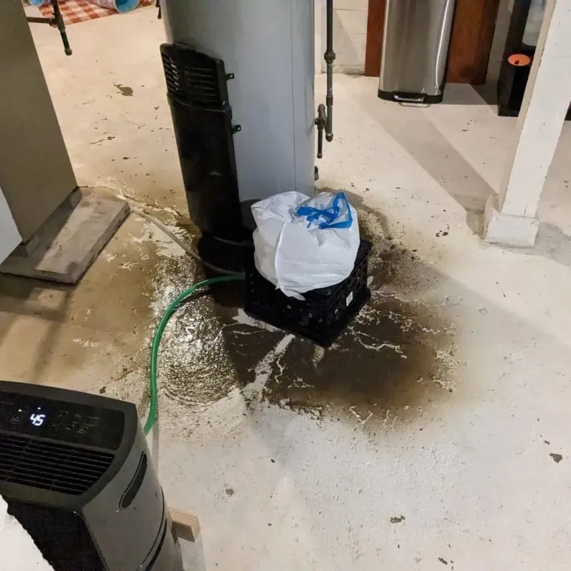 Sewage Backup Cleanup Service in Jefferson, OR